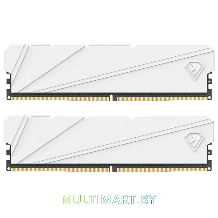 Оперативная память Netac Shadow S 2x16GB DDR4 PC4-25600 (NTSSD4P32DP-32W)